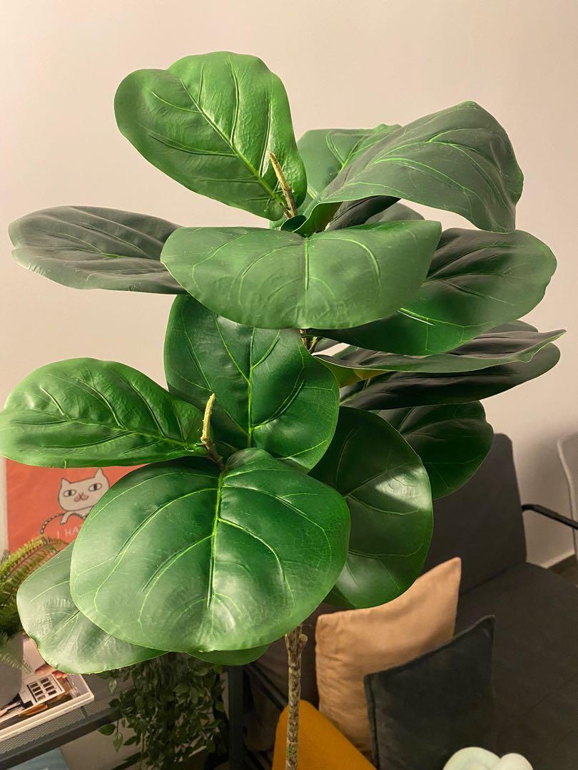 Fake fiddle leaf fig plant 110cm, Furniture & Home Living, Gardening