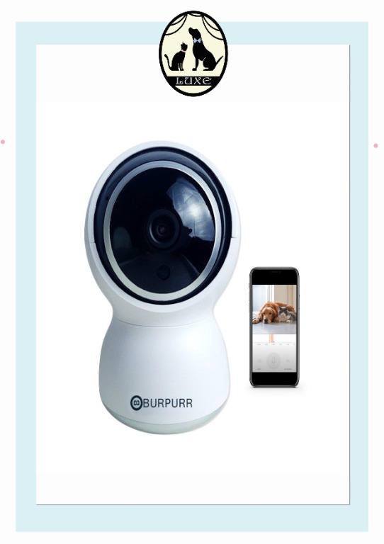 Smartpaw camera discount