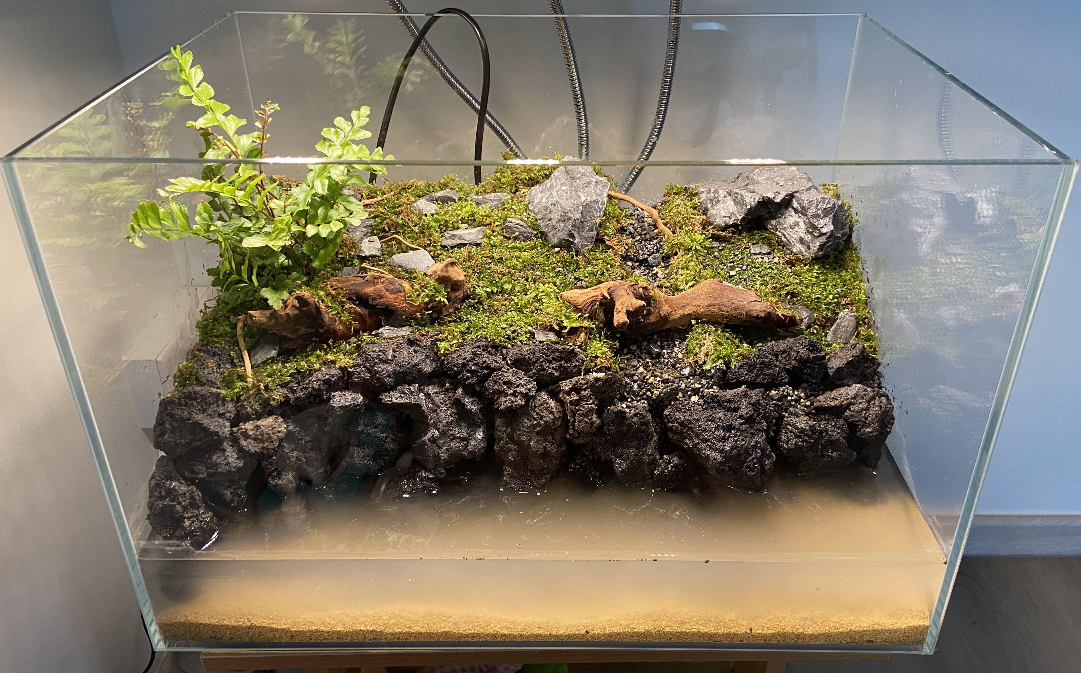 Vivarium / Terrarium / Paludarium customisation available (IG
