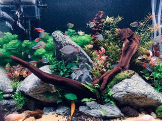(Category: ) located in . Submitted by mweil (Listing ID 1102348928, Image 1). Description: .