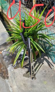 (Category: ) located in . Submitted by jw143796 (Listing ID 1094813327, Image 1). Description: .