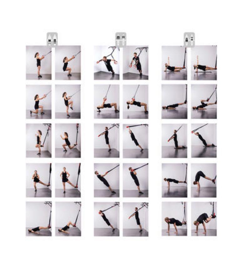 Suspension trainer shop dst 100