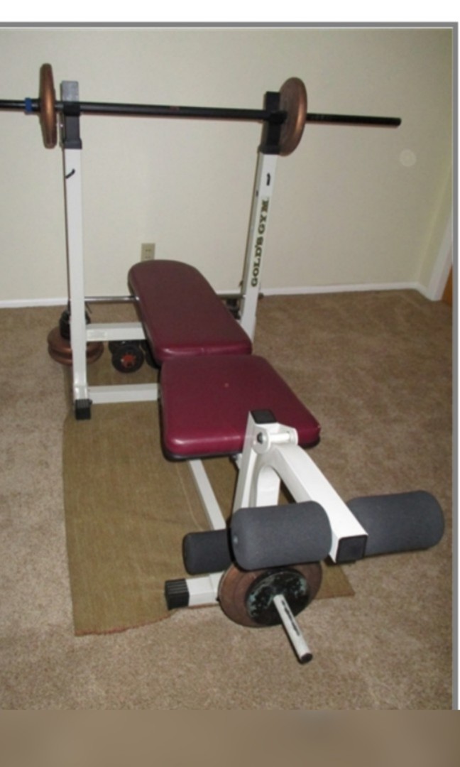 Gold gym bench, Sports Equipment, Exercise & Fitness, Weights