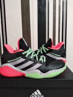 Harden stepback 1