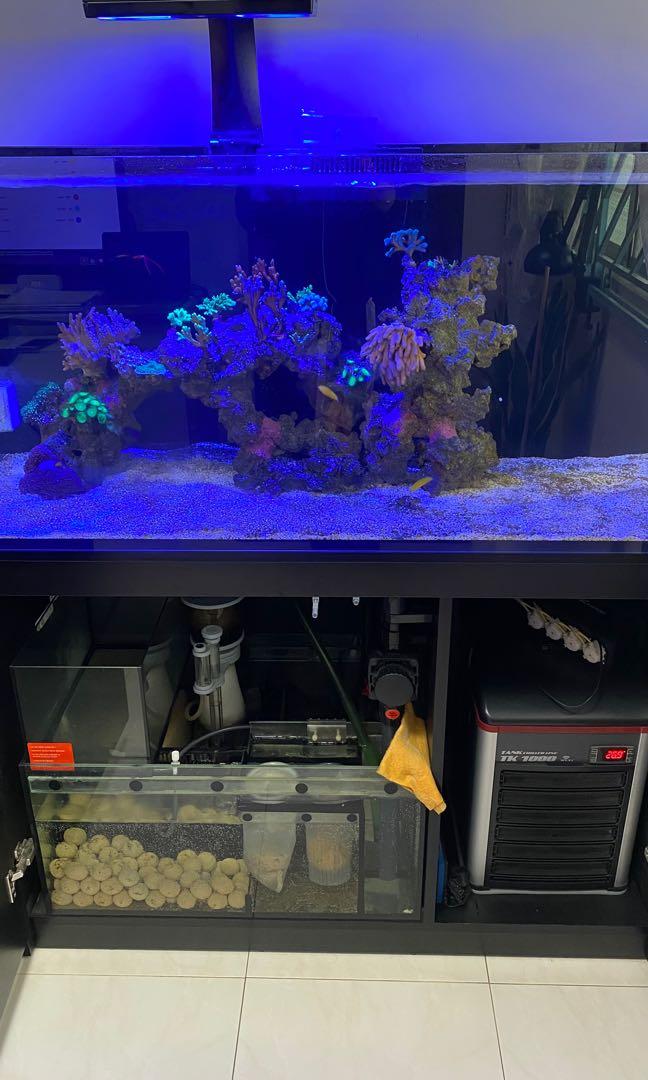 Red Sea Reefer Marine Tank System (Decom), Everything Else on Carousell