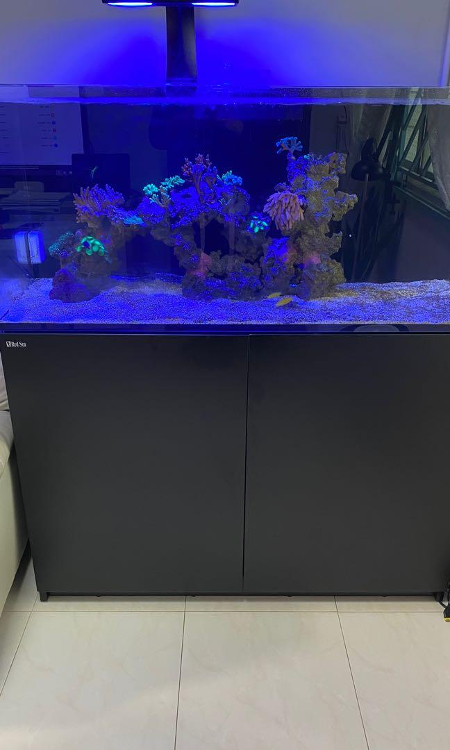 Red Sea Reefer Marine Tank System (Decom), Everything Else on Carousell