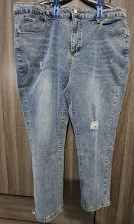 Plus Size Jeans