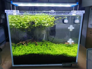 (Category: ) located in . Submitted by aquafever (Listing ID 1100579218, Image 1). Description: .