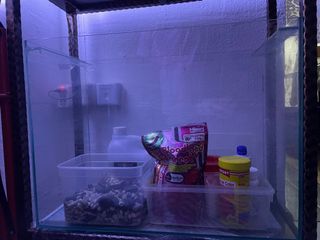(Category: ) located in . Submitted by isnxwh (Listing ID 1102678311, Image 1). Description: .