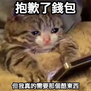 （分類：）位於 。 由 asa_duo 提交（商品編號 1102481759，圖片 1）。簡介： 。