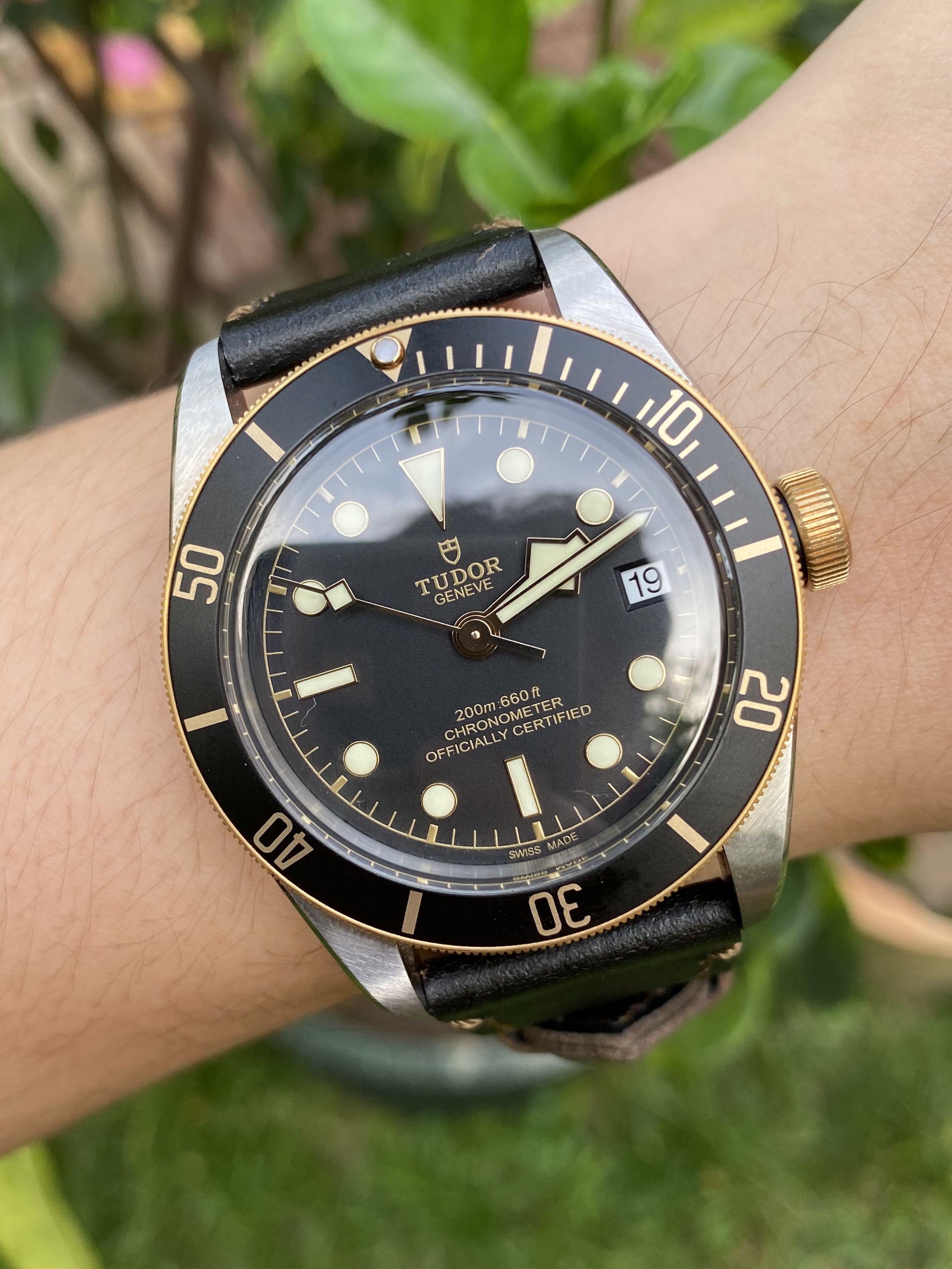 Tudor new arrivals half gold