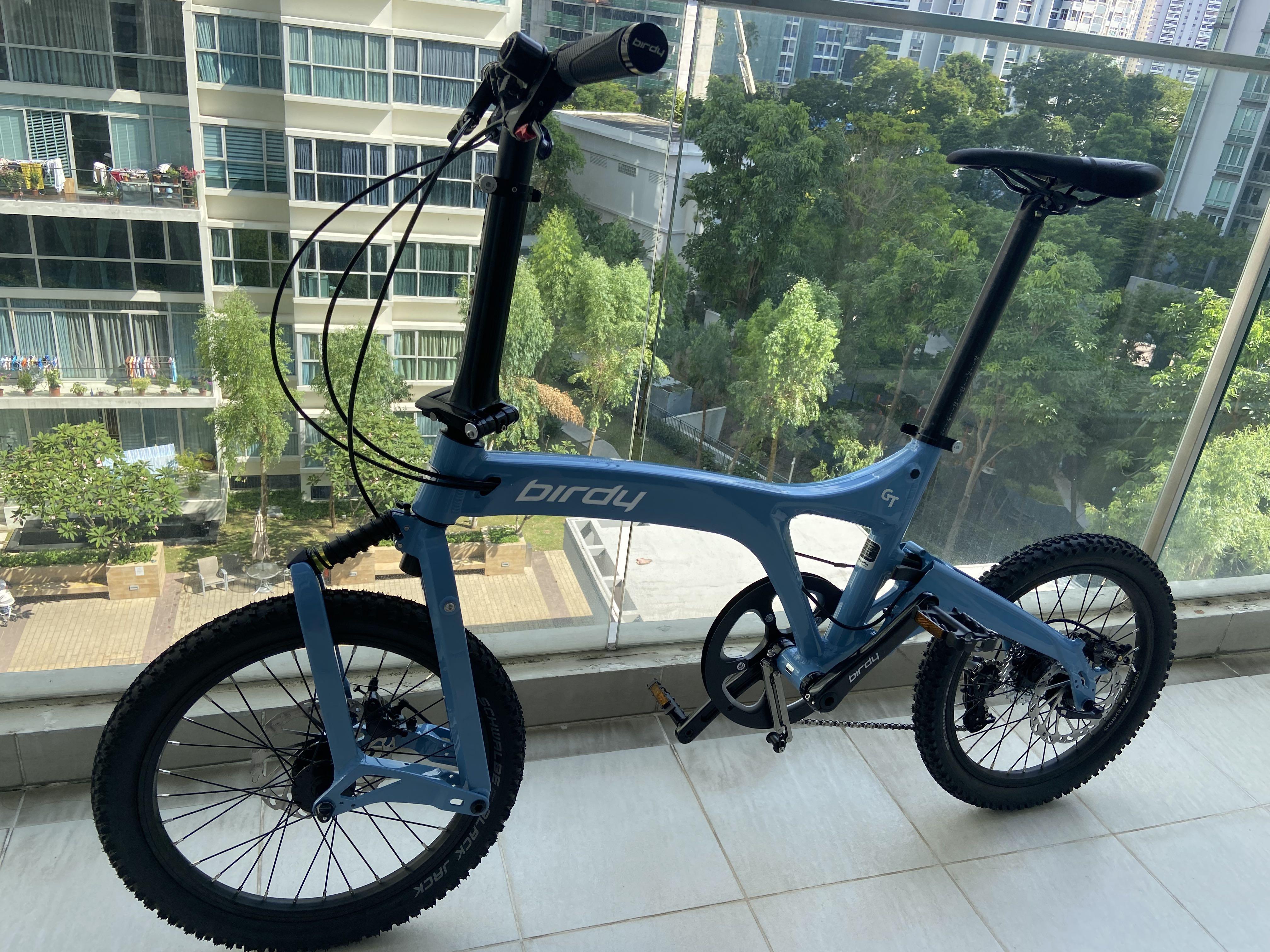 Birdy bike 2021 online