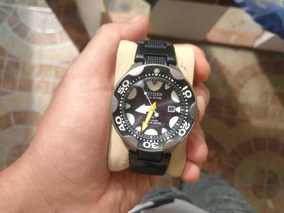 Citizen orca new arrivals for sale