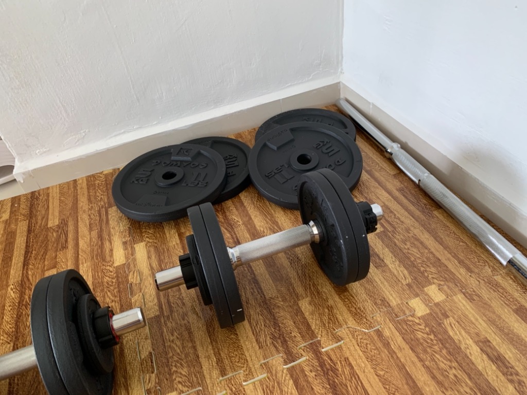decathlon 50kg dumbbells sets Sports Equipment Exercise Fitness Weights Dumbbells on Carousell