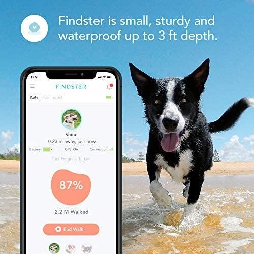 findster duo pet tracker