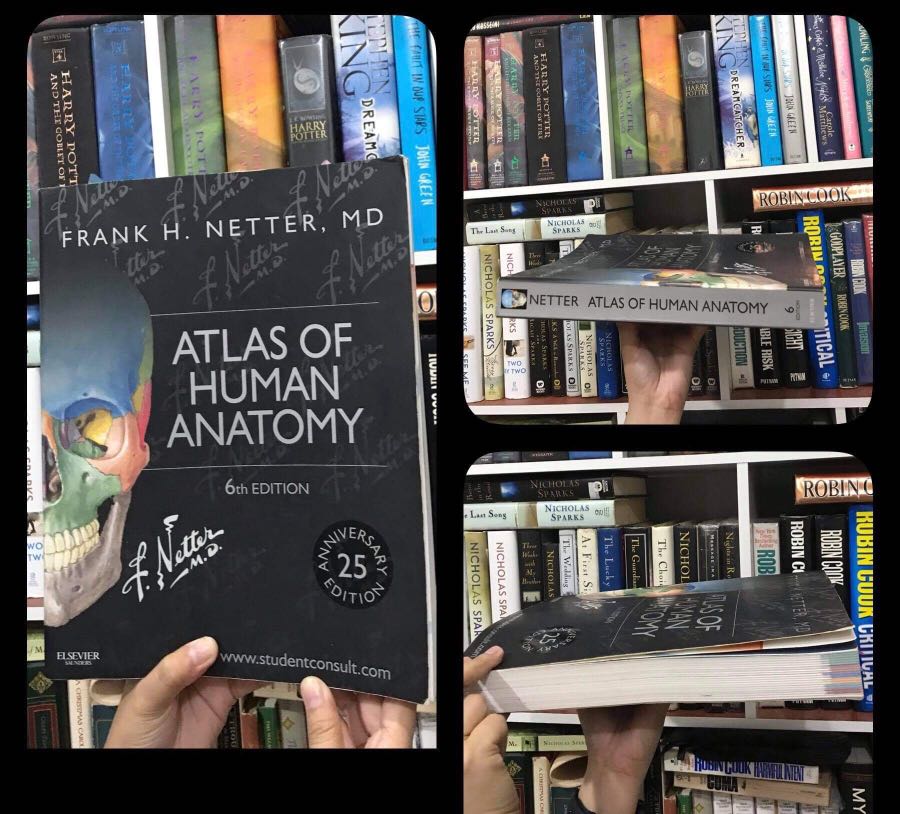 Frank H. Netter ATLAS OF HUMAN ANATOMY 6TH EDITION, Hobbies & Toys ...