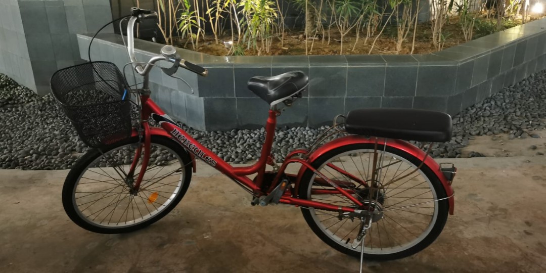 Hercules ladies bicycle clearance