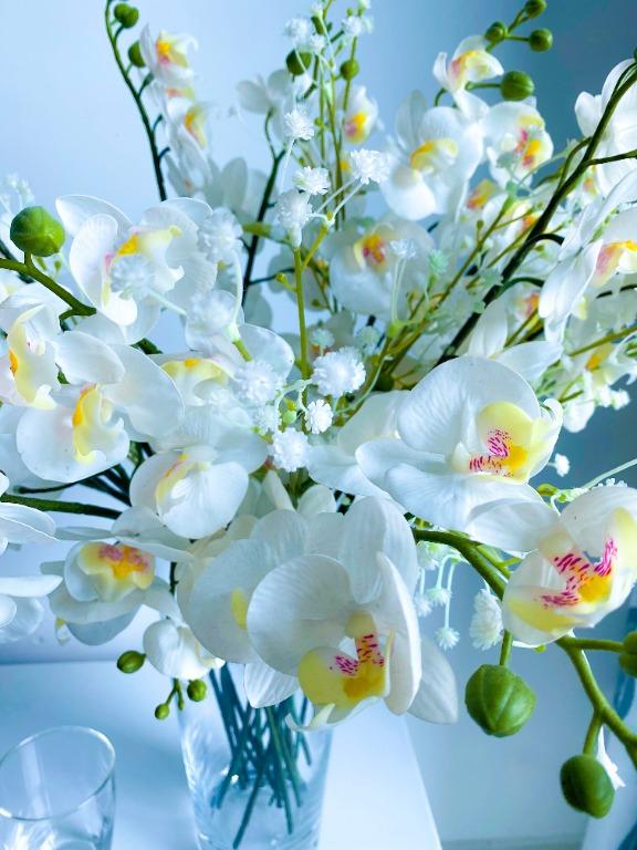 IKEA BLADET Vase, glass30 cm + 21 Orchid/white, Furniture & Home