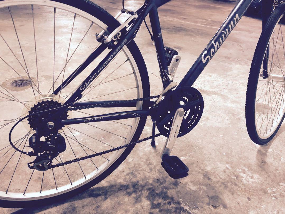 Schwinn top merge hybrid