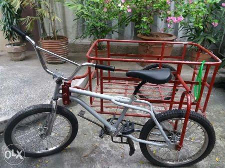 Tri bike with hotsell sidecar
