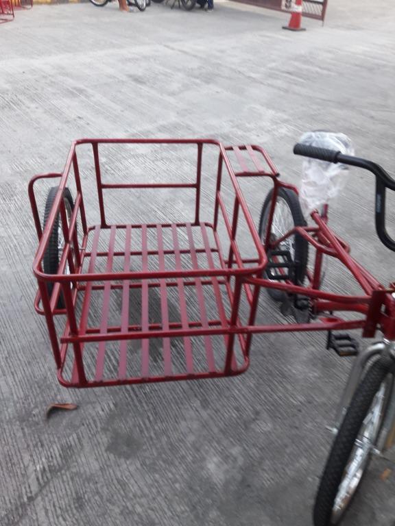Tri bike with sale sidecar
