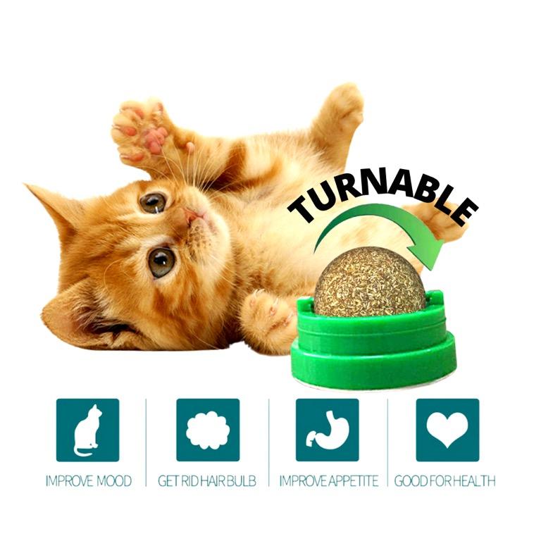 Cat Catnip Mint Rotating Ball Kucing Mint Bola, Pet Supplies, Pet 