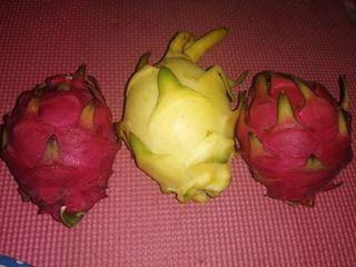 Mixed Dragon Fruit (yellow and red) 