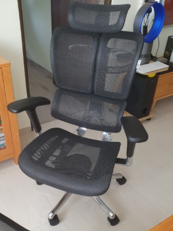 Ergomax chair 2025 review