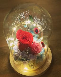 (Category: ) located in . Submitted by theflowerdome (Listing ID 1102826041, Image 1). Description: .