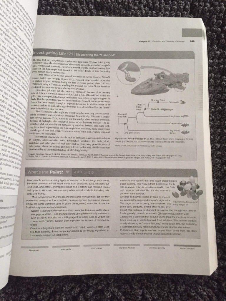 General Biologyfor grade 11 (Category: Textbooks) located in Quezon City. Submitted by katiejoson (Listing ID 1102852751, Image 3). Description: .