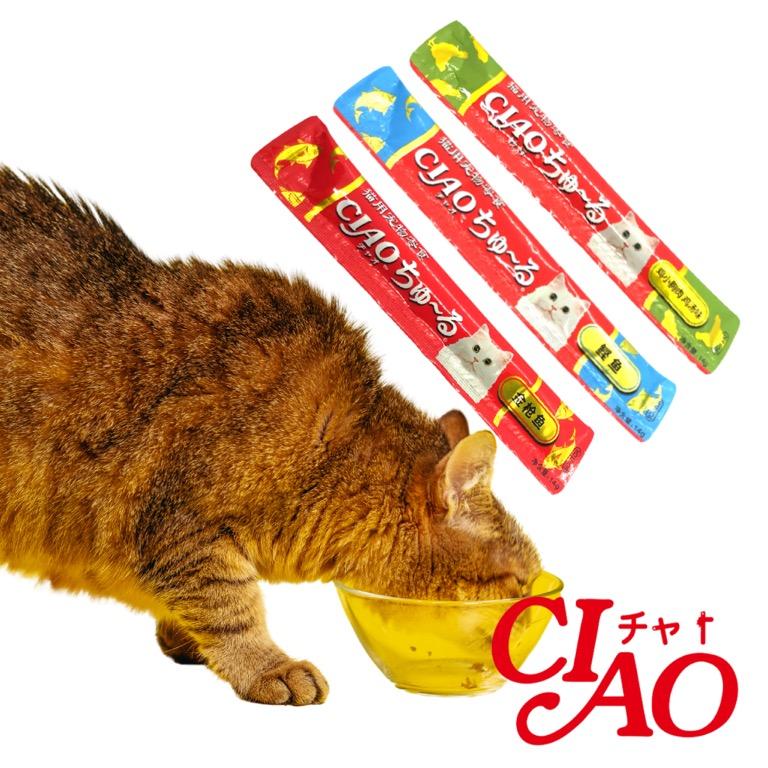 Makanan kucing high protein outlet
