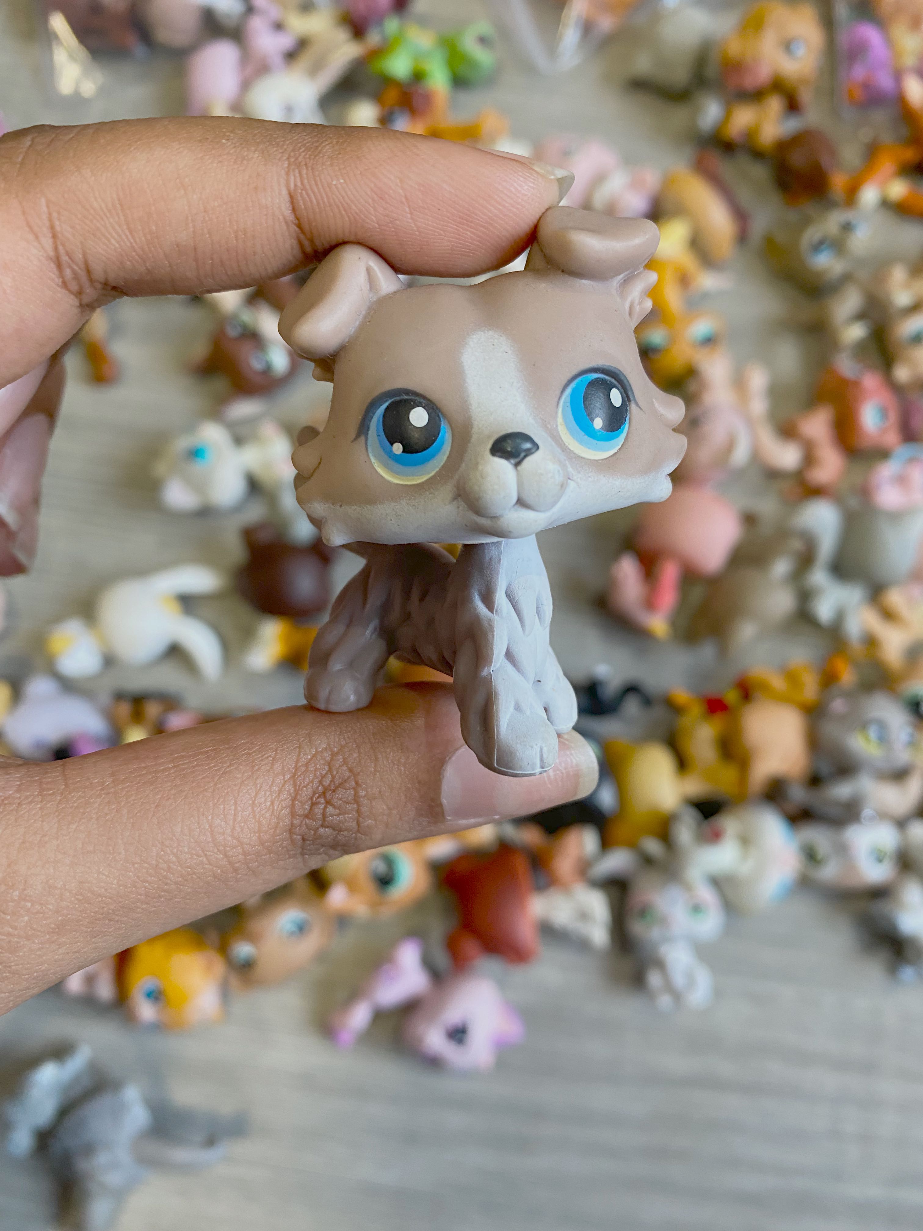 Lps shop authentic collie