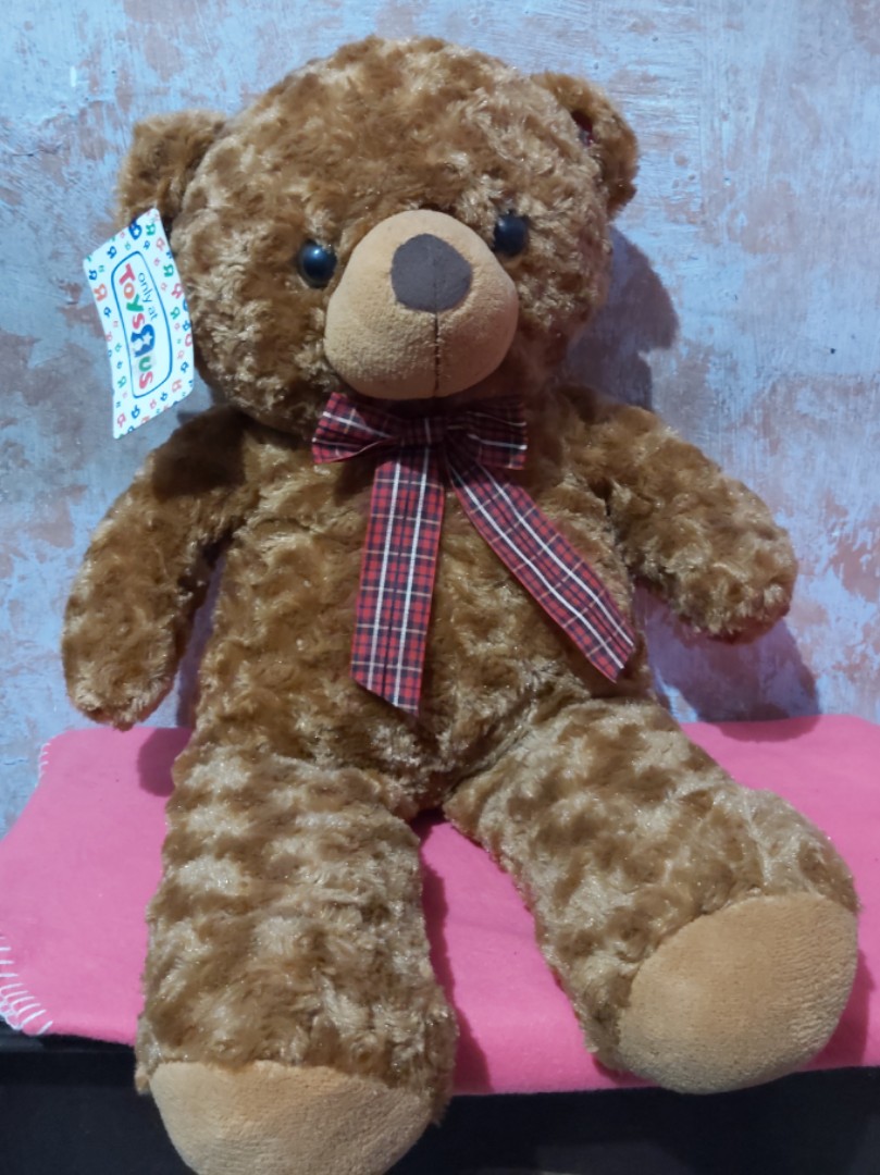 Original Toys R Us Teddy Bear Brand New with Tag Hobbies Toys