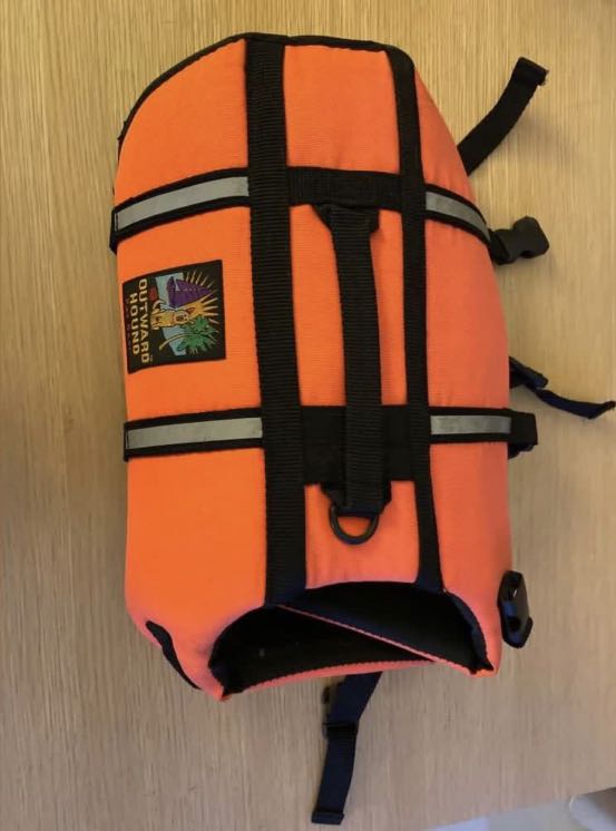 Outward hound deals pet gear