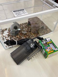 (Category: ) located in . Submitted by gamesqiew (Listing ID 1102778110, Image 1). Description: .