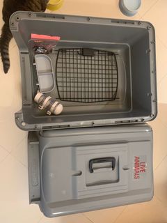 （分類：）位於 。 由 swiftwhale_5e828a 提交（商品編號 1103024304，圖片 1）。簡介： 。