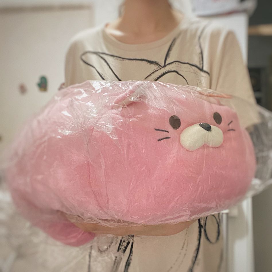 Goroneko summit sales cat plush cushions