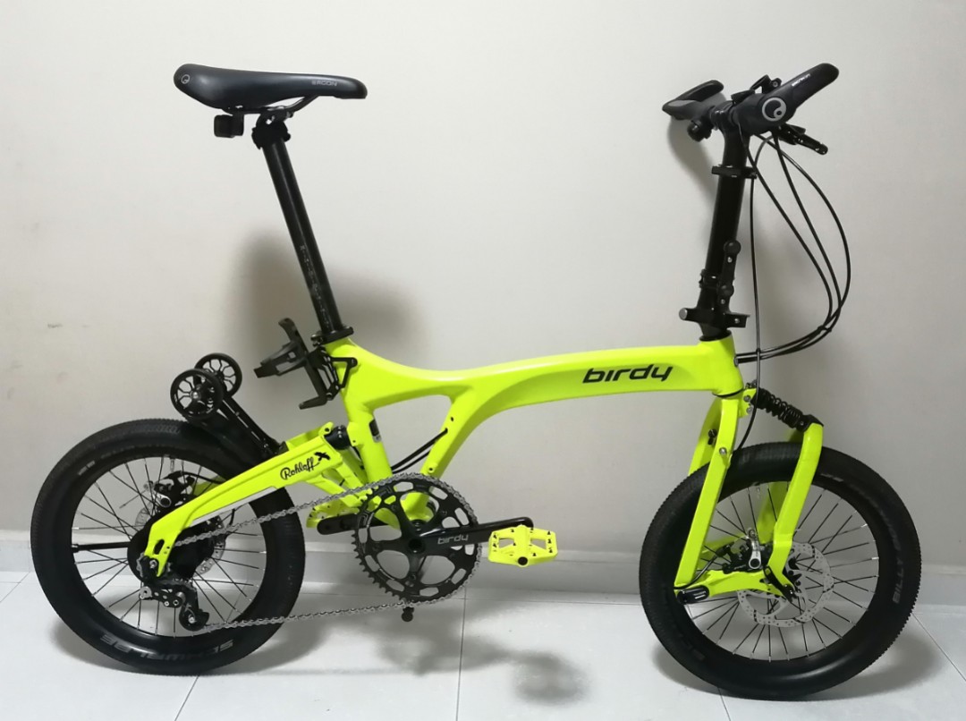 Birdy rohloff 2021 clearance