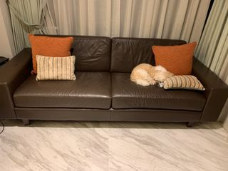 (Category: ) located in . Submitted by beth63 (Listing ID 1103096462, Image 1). Description: .