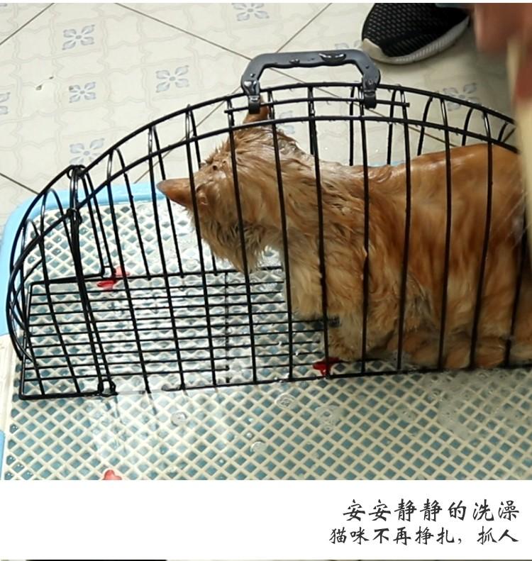 cat cage rest