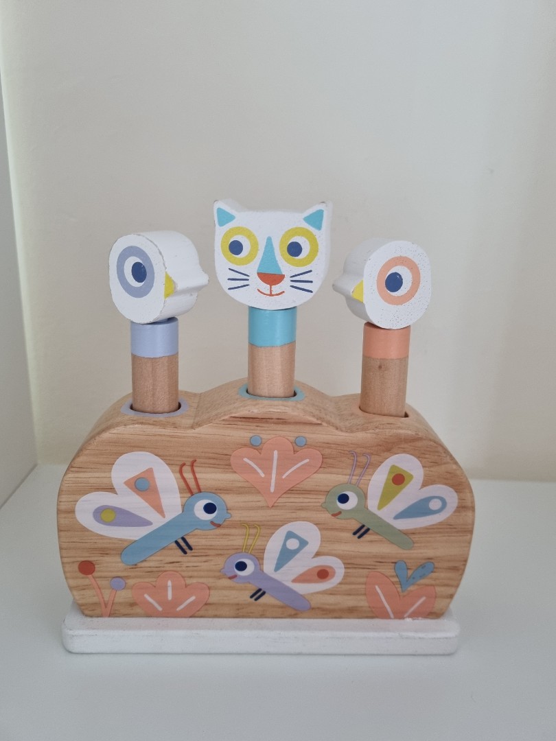 Djeco pop up toy, Babies & Kids, Infant Playtime on Carousell