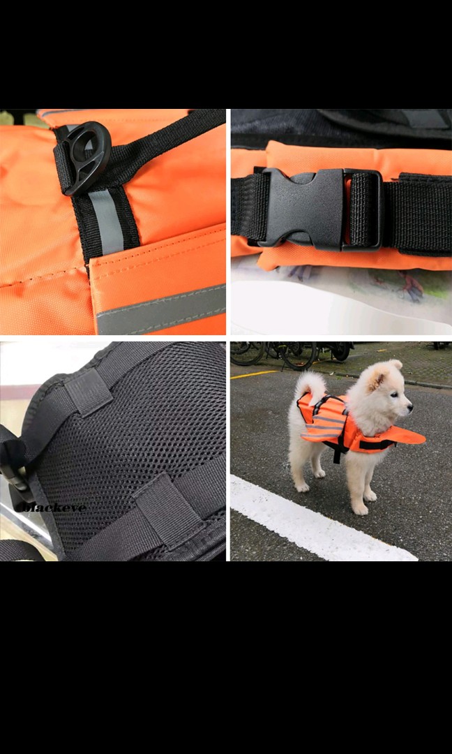 flotation collar for dogs