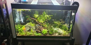 (Category: ) located in . Submitted by sloan10 (Listing ID 1103037681, Image 1). Description: .