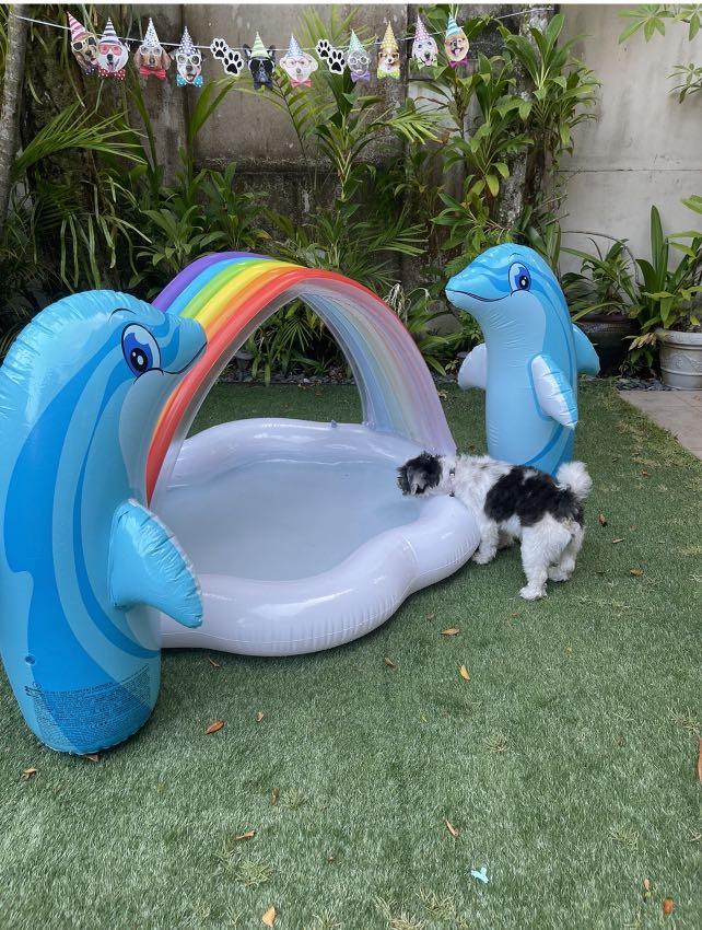 inflatable pool dolphin