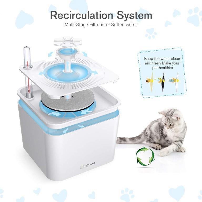 isYoung Cat Water Fountain 84oz 2.5L Super Quiet Automatic Pet Fountain Dog Water Dispenser with 5 Replacement Filters and Cleaning Brushes for Cats Dogs Pet Supplies Homes Other Pet Accessories on Ca...