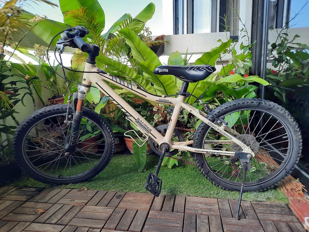 Raleigh bikes raleigh best sale rowdy 20 green 20