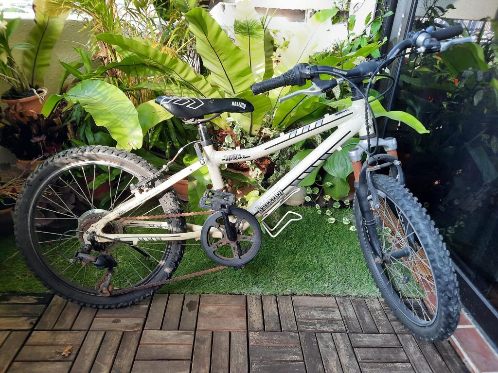 Raleigh rowdy 20 green hot sale