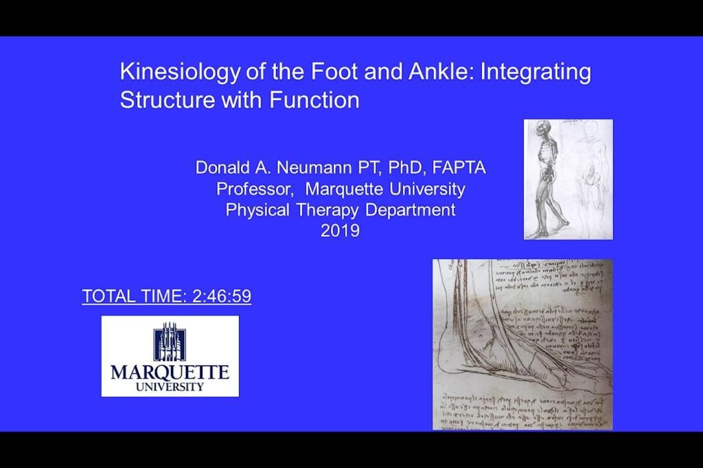 KINESIOLOGY OF THE FOOT AND ANKLE Lecture Video: INTEGRATING STRUCTURE ...