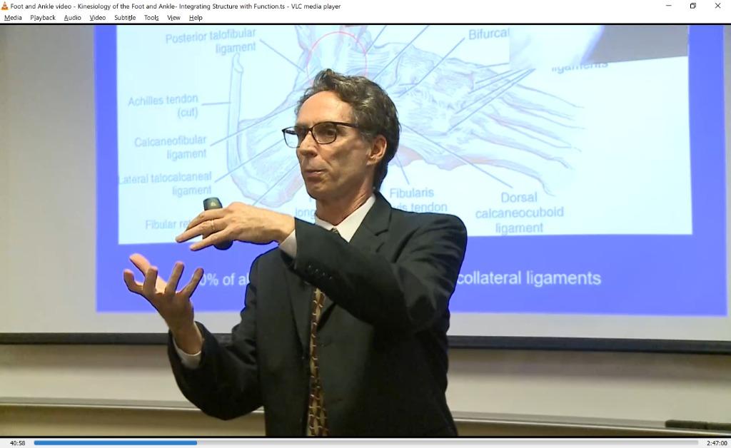 KINESIOLOGY OF THE FOOT AND ANKLE Lecture Video: INTEGRATING STRUCTURE ...