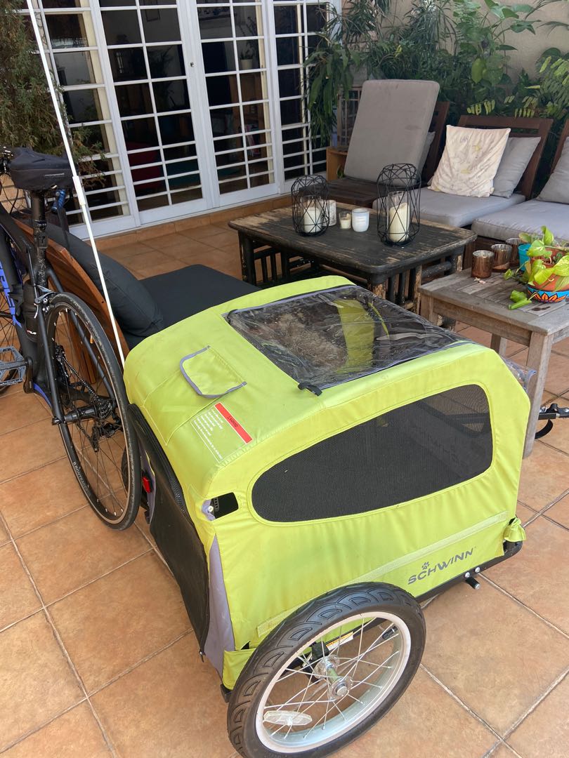 Schwinn rascal plus store